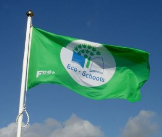 http___www.emptiesplease.com_wp-content_uploads_2016_10_Flying_the_Green_Flag-1024x868
